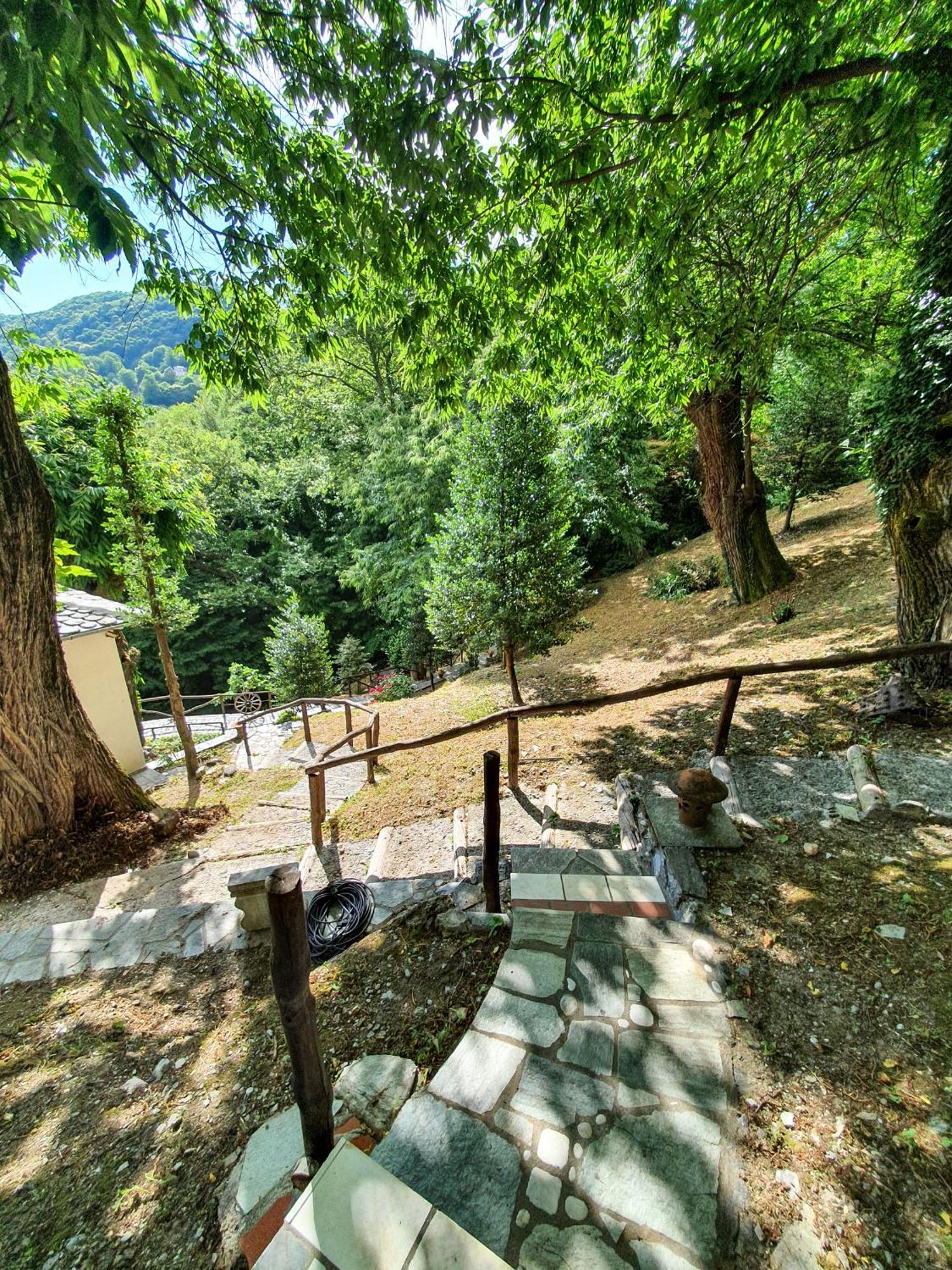 The Mushroom Anilio Pelion