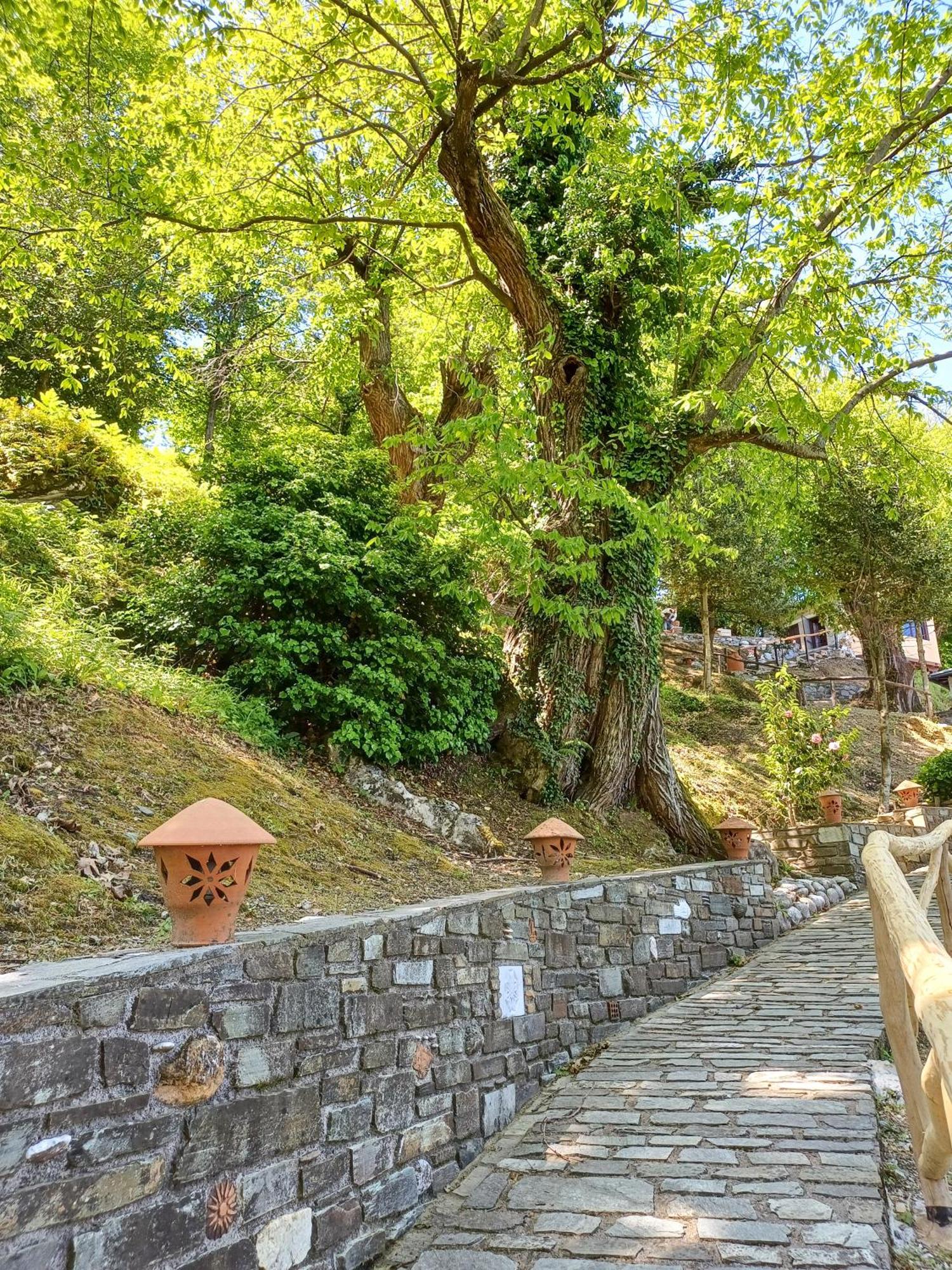 The Mushroom Holiday home Anilio Pelion