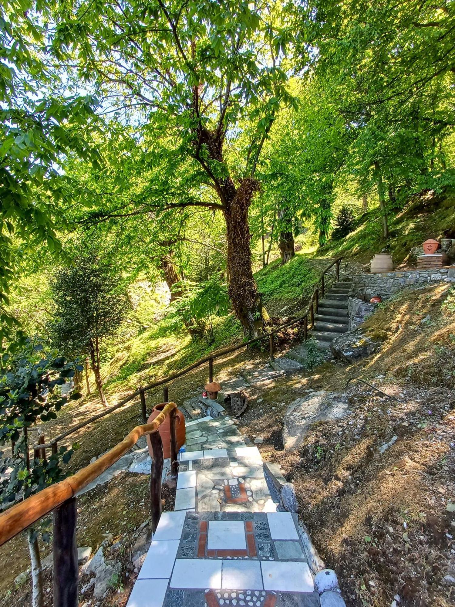 The Mushroom Anilio Pelion